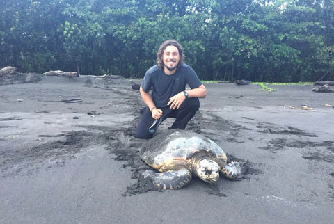 Mann sitzt hinter Schildkröte am Strand