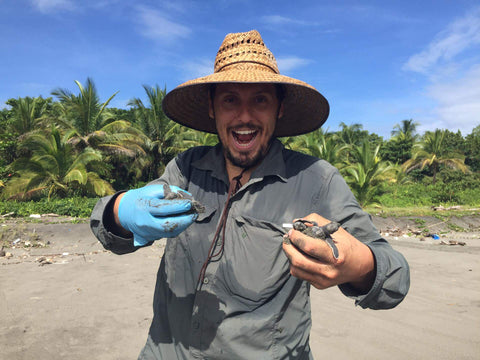 Mann zeigt voller Freude zwei Baby Schildkröten