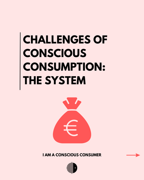 Herausforderungen für bewussten Konsum: Das System