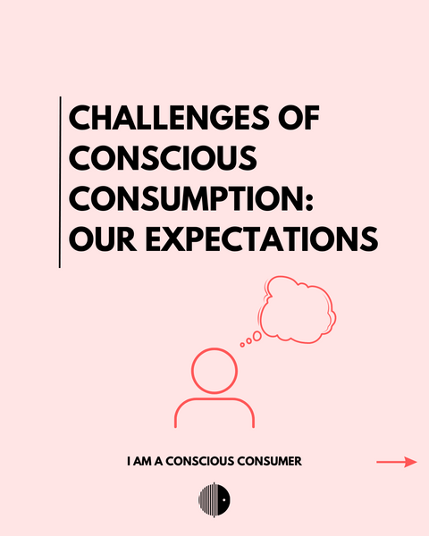 Herausforderungen für bewussten Konsum: Unsere Erwartungen