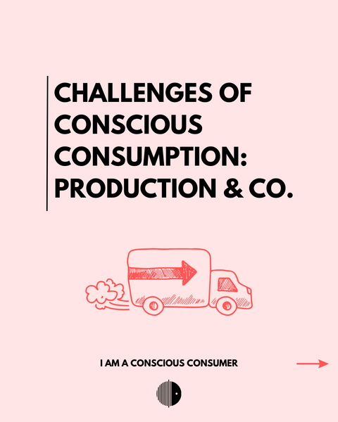 Herausforderungen für bewussten Konsum: Produktionsketten
